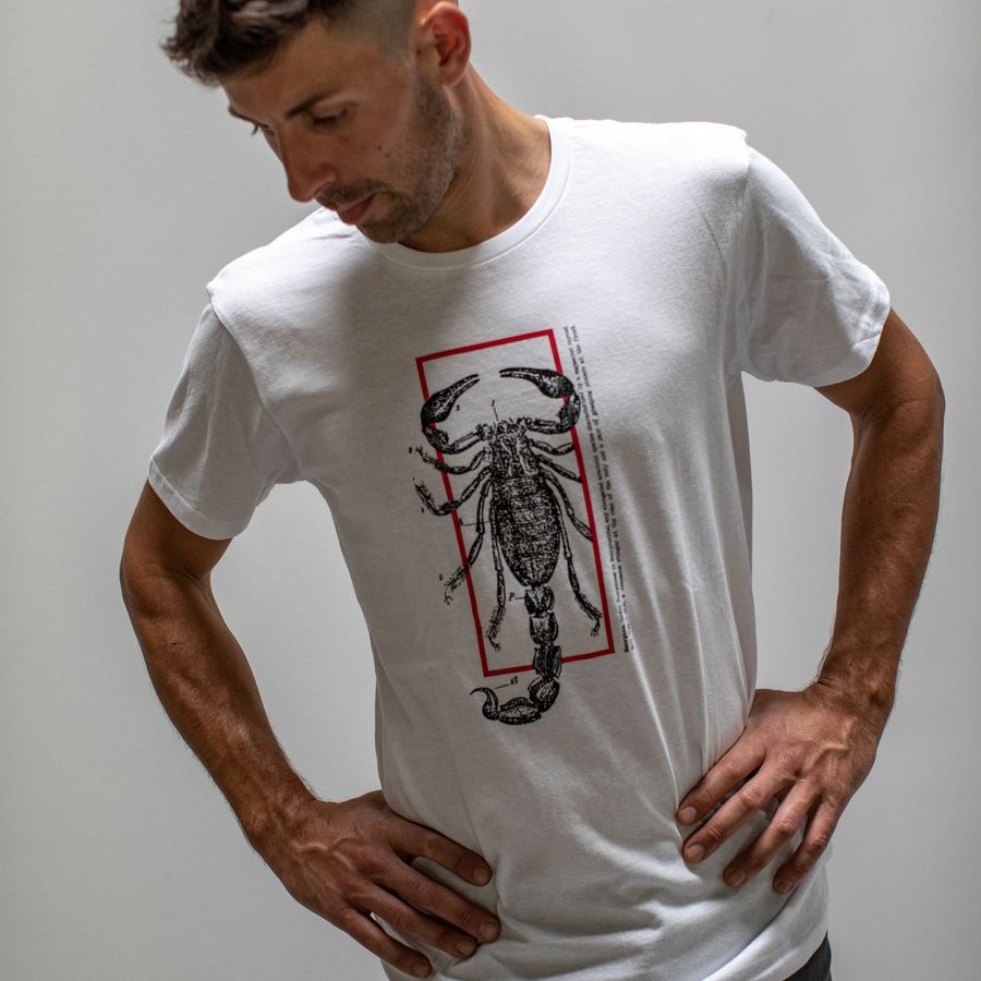 Impressie afbeelding 1 van LOGO TEE Impressie afbeelding 1 van LOGO TEE