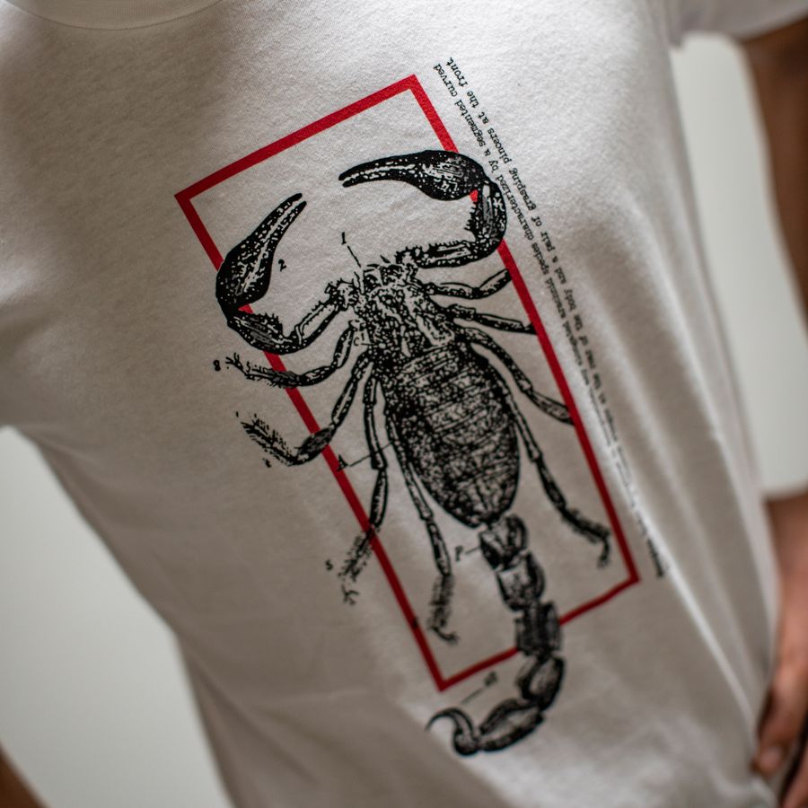Impressie afbeelding 3 van LOGO TEE Impressie afbeelding 3 van LOGO TEE