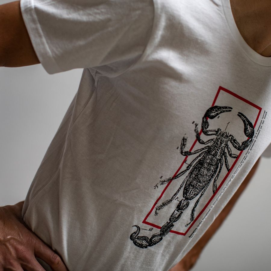Impressie afbeelding 4 van LOGO TEE Impressie afbeelding 4 van LOGO TEE